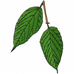 Leaves Embroidery Design 12